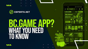 Complete Guide on How to Deposit BC.Game