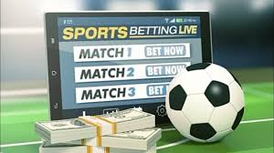 Discovering the Excitement of Online Betting with Bolla Bet