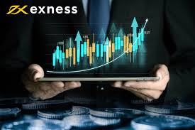 Exploring the Diverse Array of Exness Trading Instruments