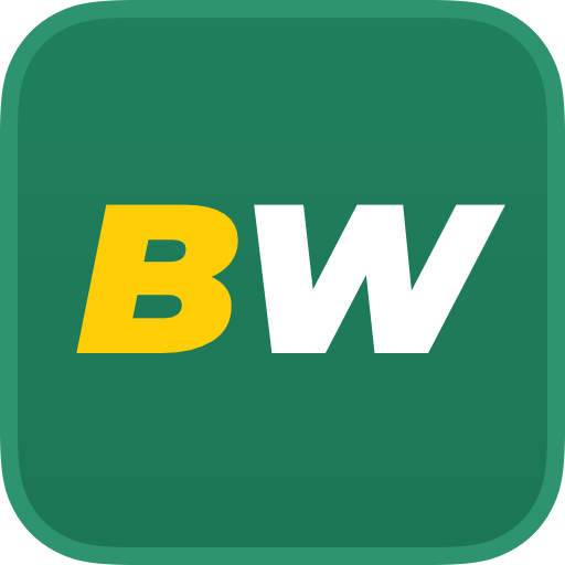 Exploring the World of Online Betting with BetWinner