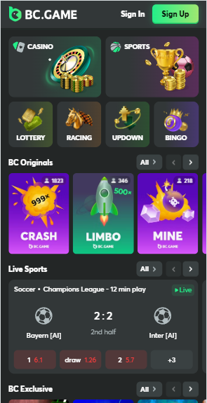 Una guía completa sobre BC.Game Casino Tu destino de juegos en línea