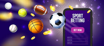 Win big with Vivi’s unique promotions and betting features 8